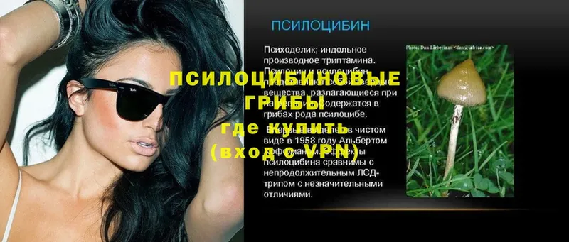 Псилоцибиновые грибы мухоморы  Данилов 